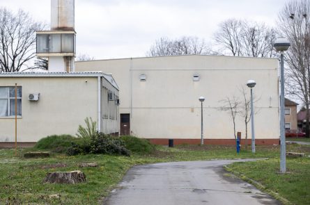 111_Uklanjanje_opasnih_stabala_OS_Blage_Zadre04